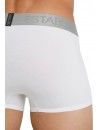 Bóxer Calvin Klein Evolution (Blanco con Cinturilla Gris)