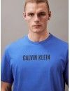 Camiseta Calvin Klein Intense Power 100% Algodón Manga Corta (Azul)