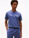 Camiseta Tommy Hilfiger Original com Logo (Azul)