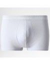 Boxer Calvin Klein -3 Pack- Algodão Stretch (Preto Cintura Cinza, Amarelo e Verde)
