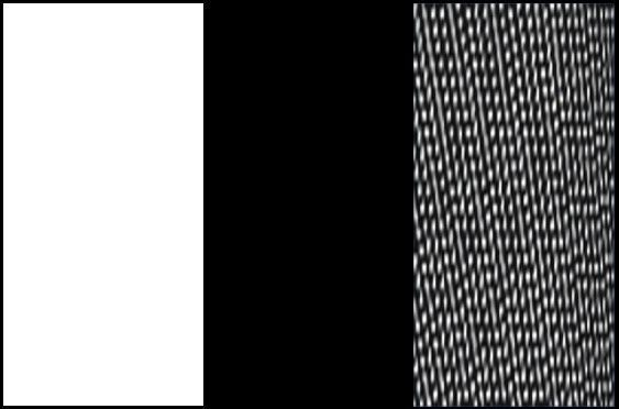 Blanco, Negro y Negro Fantasía