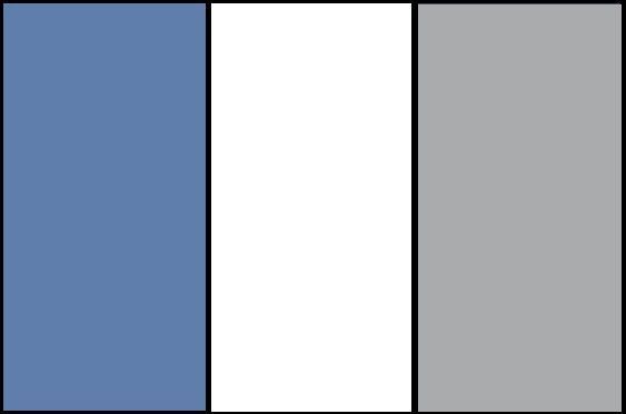 Azul, Blanco y Gris