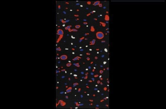 Negro, Fantasía y Negro